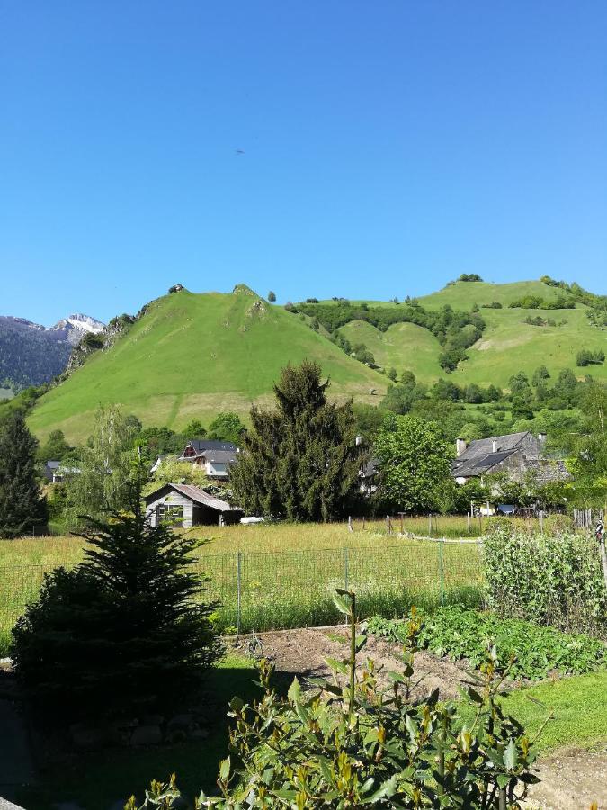 La Maison De Jeanne Osse-en-Aspe Dış mekan fotoğraf